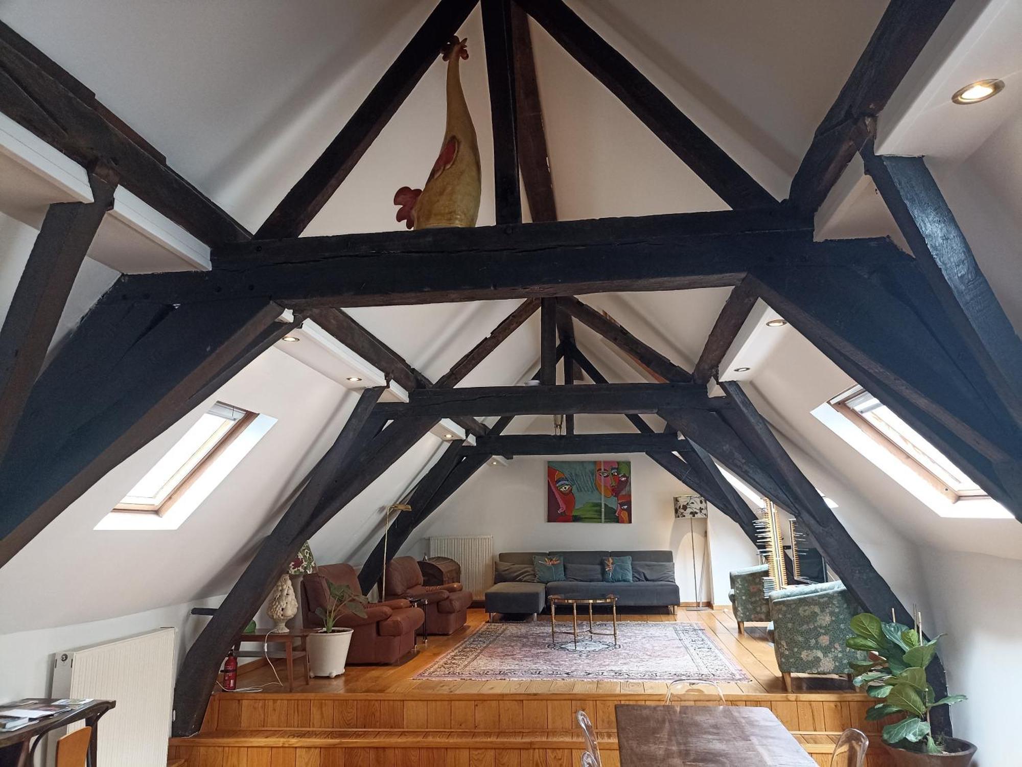 Spacious Duplex In Brussels Historical Center المظهر الخارجي الصورة